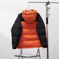 Cheap The North Face Down Feather Coat Long Sleeved For Unisex #1380269 Replica Wholesale [$140.00 USD] [ITEM#1380269] on Replica The North Face Down Feather Coat