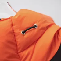 Cheap The North Face Down Feather Coat Long Sleeved For Unisex #1380269 Replica Wholesale [$140.00 USD] [ITEM#1380269] on Replica The North Face Down Feather Coat