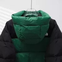 Cheap The North Face Down Feather Coat Long Sleeved For Unisex #1380270 Replica Wholesale [$140.00 USD] [ITEM#1380270] on Replica The North Face Down Feather Coat