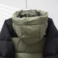 Cheap The North Face Down Feather Coat Long Sleeved For Unisex #1380271 Replica Wholesale [$140.00 USD] [ITEM#1380271] on Replica The North Face Down Feather Coat
