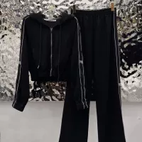 Cheap Alexander Wang Tracksuits Long Sleeved For Women #1380353 Replica Wholesale [$108.00 USD] [ITEM#1380353] on Replica Alexander Wang Tracksuits