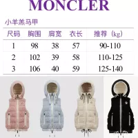 Cheap Moncler Down Feather Coat Sleeveless For Women #1380362 Replica Wholesale [$202.00 USD] [ITEM#1380362] on Replica Moncler Down Feather Coat