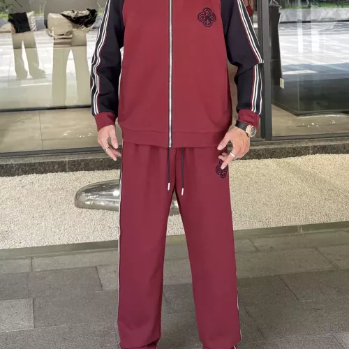 Louis Vuitton LV Tracksuits Long Sleeved For Men #1382407