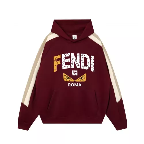 Fendi Hoodies Long Sleeved For Unisex #1383098