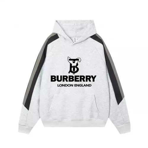 Burberry Hoodies Long Sleeved For Unisex #1383104