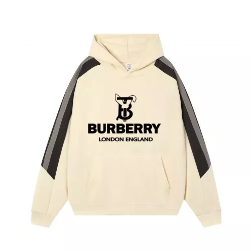 Burberry Hoodies Long Sleeved For Unisex #1383105