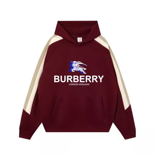 Burberry Hoodies Long Sleeved For Unisex #1383122