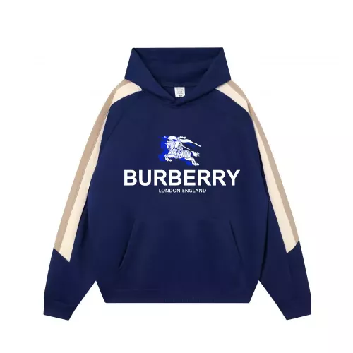 Burberry Hoodies Long Sleeved For Unisex #1383123