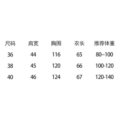 Cheap Celine Down Feather Coat Sleeveless For Women #1383603 Replica Wholesale [$185.00 USD] [ITEM#1383603] on Replica Celine Down Feather Coat