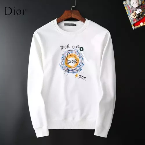 Christian Dior Hoodies Long Sleeved For Men #1385254