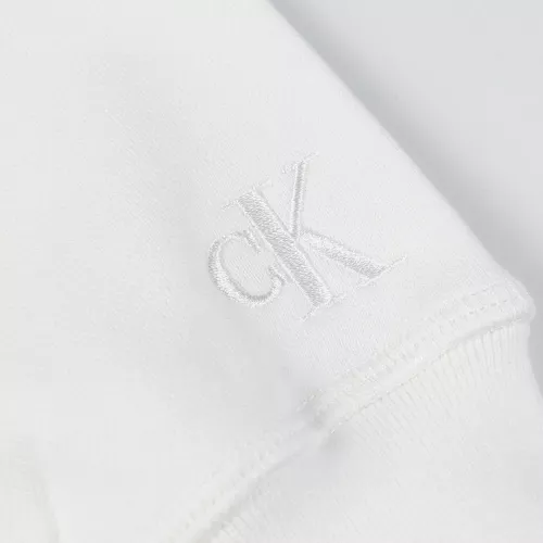 Cheap Calvin Klein CK Hoodies Long Sleeved For Unisex #1387018 Replica Wholesale [$48.00 USD] [ITEM#1387018] on Replica Calvin Klein CK Hoodies