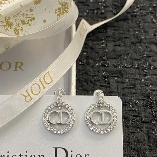 Christian Dior Earrings For Women #1390824