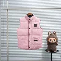 Cheap Canada Goose Down Feather Coat Sleeveless For Unisex #1382466 Replica Wholesale [$80.00 USD] [ITEM#1382466] on Replica Canada Goose Down Feather Coat