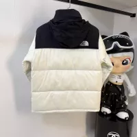 Cheap The North Face Down Feather Coat Long Sleeved For Unisex #1383445 Replica Wholesale [$125.00 USD] [ITEM#1383445] on Replica The North Face Down Feather Coat