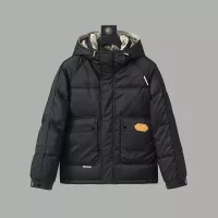 Cheap Louis Vuitton LV Down Feather Coat Long Sleeved For Men #1383575 Replica Wholesale [$185.00 USD] [ITEM#1383575] on Replica Louis Vuitton LV Down Feather Coat