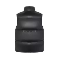 Cheap Celine Down Feather Coat Sleeveless For Women #1383604 Replica Wholesale [$185.00 USD] [ITEM#1383604] on Replica Celine Down Feather Coat