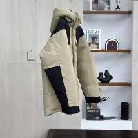 Cheap The North Face Down Feather Coat Long Sleeved For Unisex #1383813 Replica Wholesale [$160.00 USD] [ITEM#1383813] on Replica The North Face Down Feather Coat