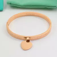 Cheap Tiffany Bracelets #1383931 Replica Wholesale [$29.00 USD] [ITEM#1383931] on Replica Tiffany Bracelets