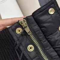 Cheap Celine Down Feather Coat Long Sleeved For Women #1386141 Replica Wholesale [$240.00 USD] [ITEM#1386141] on Replica Celine Down Feather Coat