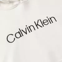 Cheap Calvin Klein CK Hoodies Long Sleeved For Unisex #1387006 Replica Wholesale [$48.00 USD] [ITEM#1387006] on Replica Calvin Klein CK Hoodies