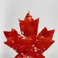 Cheap Dsquared Hoodies Long Sleeved For Men #1387242 Replica Wholesale [$42.00 USD] [ITEM#1387242] on Replica Dsquared Hoodies