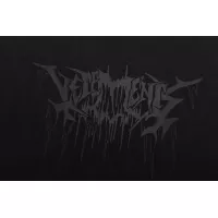 Cheap VETEMENTS T-Shirts Short Sleeved For Unisex #1390278 Replica Wholesale [$36.00 USD] [ITEM#1390278] on Replica VETEMENTS T-Shirts