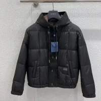 Cheap Louis Vuitton LV Down Feather Coat Long Sleeved For Women #1391737 Replica Wholesale [$180.00 USD] [ITEM#1391737] on Replica Louis Vuitton LV Down Feather Coat