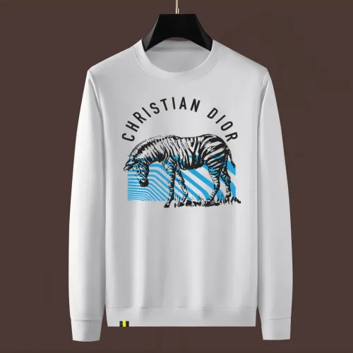 Christian Dior Hoodies Long Sleeved For Men #1394131