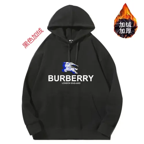 Burberry Hoodies Long Sleeved For Unisex #1394441