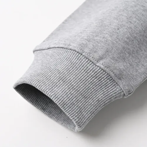 Cheap LOEWE Hoodies Long Sleeved For Unisex #1400306 Replica Wholesale [$98.00 USD] [ITEM#1400306] on Replica LOEWE Hoodies