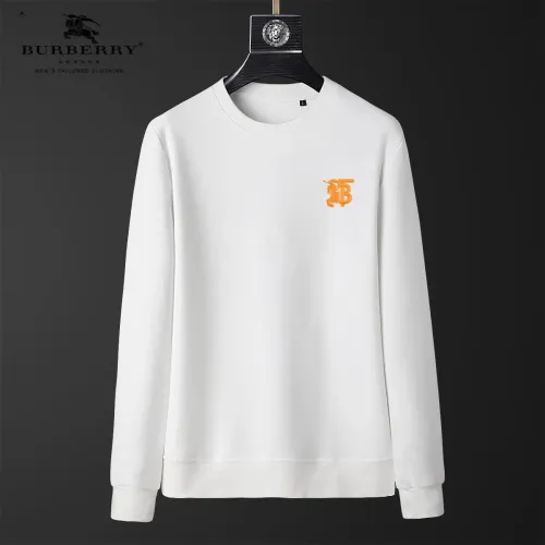 Burberry Hoodies Long Sleeved For Men #1402674