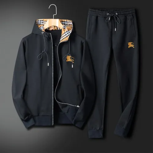 Burberry Tracksuits Long Sleeved For Men #1402729