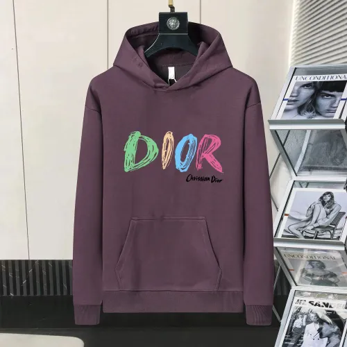 Christian Dior Hoodies Long Sleeved For Men #1403043