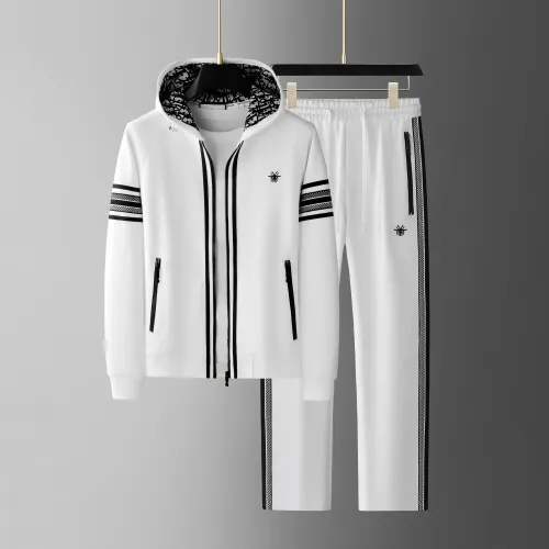 Christian Dior Tracksuits Long Sleeved For Men #1404737