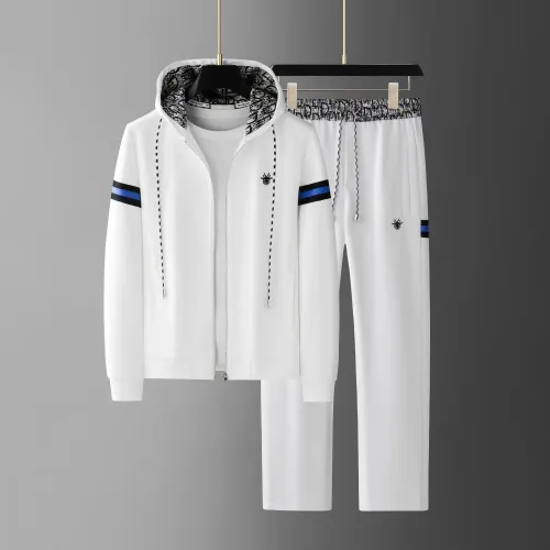 Christian Dior Tracksuits Long Sleeved For Men #1404739