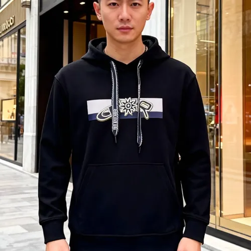Cheap Christian Dior Hoodies Long Sleeved For Men #1405095 Replica Wholesale [$92.00 USD] [ITEM#1405095] on Replica Christian Dior Hoodies