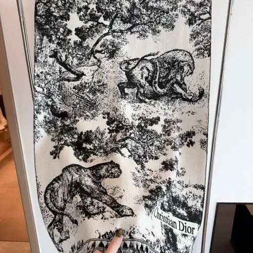 Christian Dior Scarf For Women #1406114