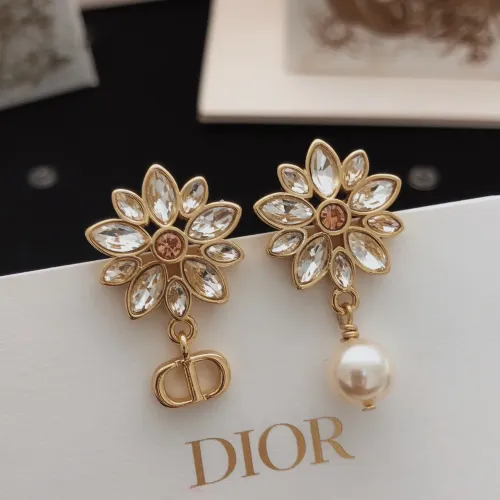 Christian Dior Earrings For Women #1406719
