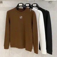 Cheap LOEWE Hoodies Long Sleeved For Men #1393624 Replica Wholesale [$82.00 USD] [ITEM#1393624] on Replica LOEWE Hoodies