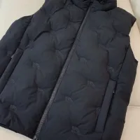 Cheap Burberry Down Feather Coat Sleeveless For Men #1393693 Replica Wholesale [$160.00 USD] [ITEM#1393693] on Replica Burberry Down Feather Coat