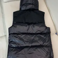 Cheap Burberry Down Feather Coat Sleeveless For Men #1393697 Replica Wholesale [$160.00 USD] [ITEM#1393697] on Replica Burberry Down Feather Coat