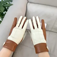 Cheap Hermes Gloves For Women #1396678 Replica Wholesale [$48.00 USD] [ITEM#1396678] on Replica Hermes Gloves