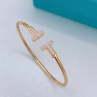 Cheap Tiffany Bracelets #1397635 Replica Wholesale [$27.00 USD] [ITEM#1397635] on Replica Tiffany Bracelets