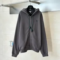 Cheap LOEWE Hoodies Long Sleeved For Unisex #1400291 Replica Wholesale [$96.00 USD] [ITEM#1400291] on Replica LOEWE Hoodies