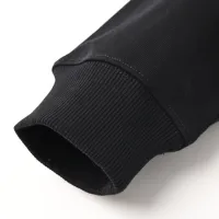 Cheap LOEWE Hoodies Long Sleeved For Unisex #1400307 Replica Wholesale [$98.00 USD] [ITEM#1400307] on Replica LOEWE Hoodies