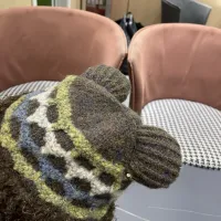 Cheap Prada Caps #1401902 Replica Wholesale [$36.00 USD] [ITEM#1401902] on Replica Prada Caps