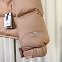 Cheap The North Face Down Feather Coat Long Sleeved For Unisex #1402079 Replica Wholesale [$105.00 USD] [ITEM#1402079] on Replica The North Face Down Feather Coat