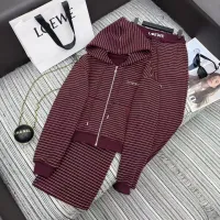 Cheap LOEWE Tracksuits Long Sleeved For Women #1402304 Replica Wholesale [$130.00 USD] [ITEM#1402304] on Replica LOEWE Tracksuits