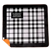Cheap Burberry Blanket #1405784 Replica Wholesale [$64.00 USD] [ITEM#1405784] on Replica Burberry Blanket
