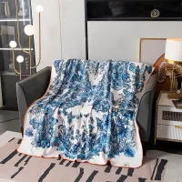 Cheap Christian Dior Blanket #1406273 Replica Wholesale [$64.00 USD] [ITEM#1406273] on Replica Christian Dior Blanket